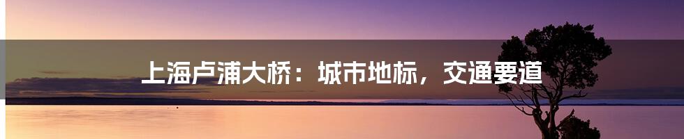 上海卢浦大桥：城市地标，交通要道