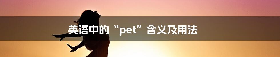 英语中的“pet”含义及用法