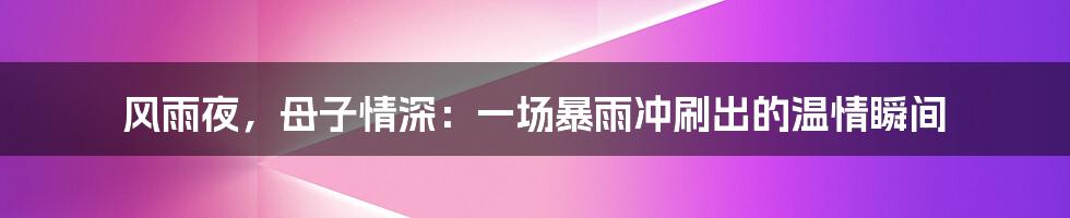 风雨夜，母子情深：一场暴雨冲刷出的温情瞬间