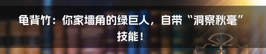 龟背竹：你家墙角的绿巨人，自带“洞察秋毫”技能！