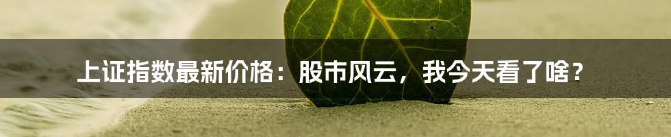 上证指数最新价格：股市风云，我今天看了啥？