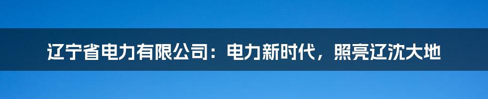 辽宁省电力有限公司：电力新时代，照亮辽沈大地