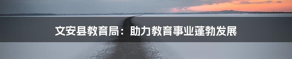 文安县教育局：助力教育事业蓬勃发展