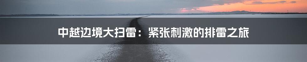 中越边境大扫雷：紧张刺激的排雷之旅