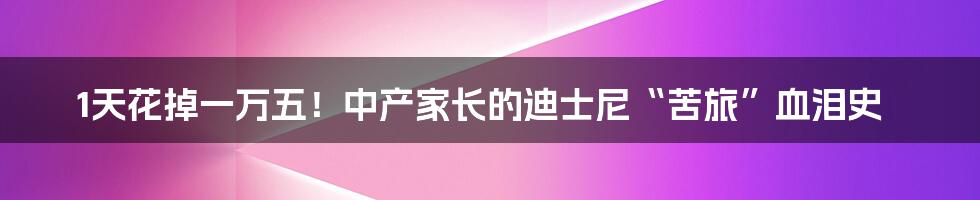 1天花掉一万五！中产家长的迪士尼“苦旅”血泪史