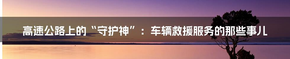 高速公路上的“守护神”：车辆救援服务的那些事儿