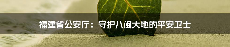 福建省公安厅：守护八闽大地的平安卫士