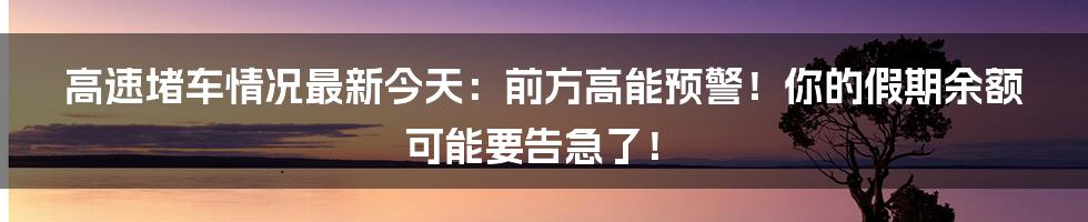 高速堵车情况最新今天：前方高能预警！你的假期余额可能要告急了！