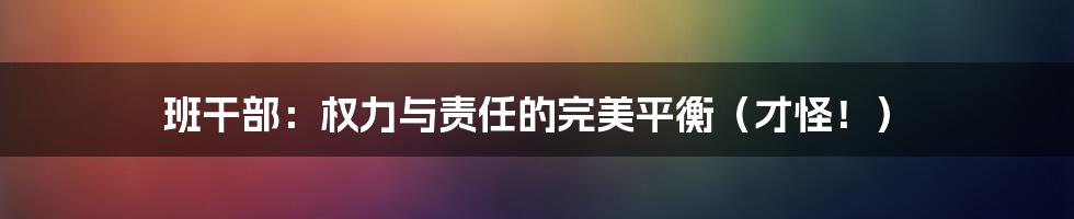 班干部：权力与责任的完美平衡（才怪！）