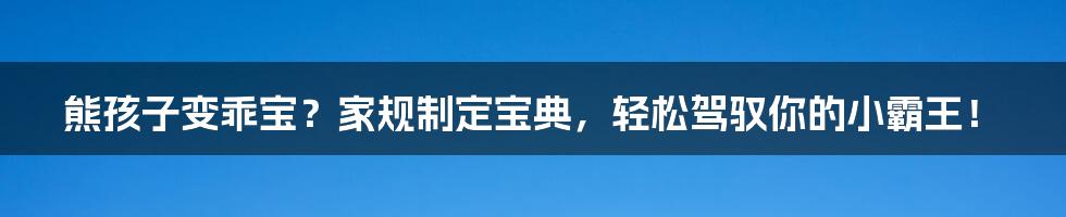 熊孩子变乖宝？家规制定宝典，轻松驾驭你的小霸王！