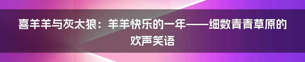 喜羊羊与灰太狼：羊羊快乐的一年——细数青青草原的欢声笑语