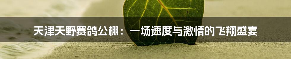 天津天野赛鸽公棚：一场速度与激情的飞翔盛宴