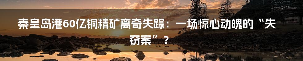 秦皇岛港60亿铜精矿离奇失踪：一场惊心动魄的“失窃案”？