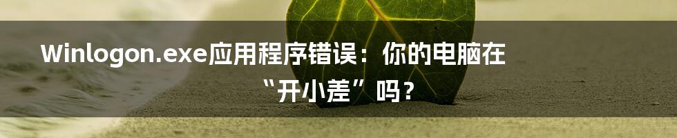 Winlogon.exe应用程序错误：你的电脑在“开小差”吗？