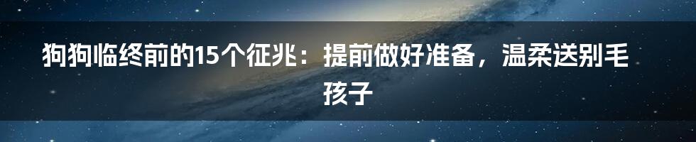 狗狗临终前的15个征兆：提前做好准备，温柔送别毛孩子