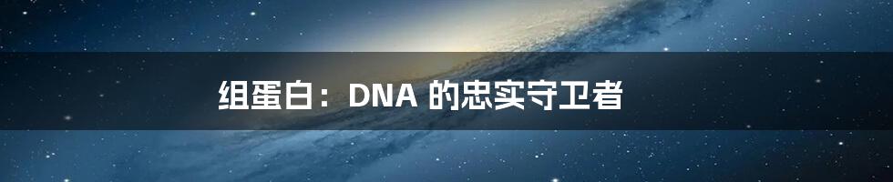 组蛋白：DNA 的忠实守卫者