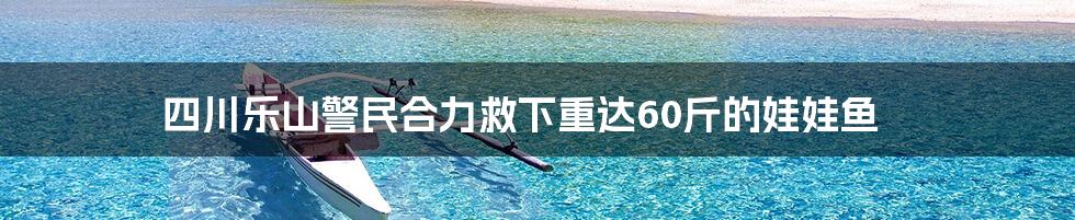 四川乐山警民合力救下重达60斤的娃娃鱼