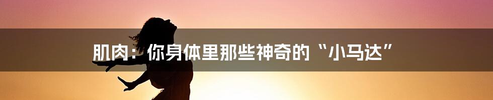 肌肉：你身体里那些神奇的“小马达”