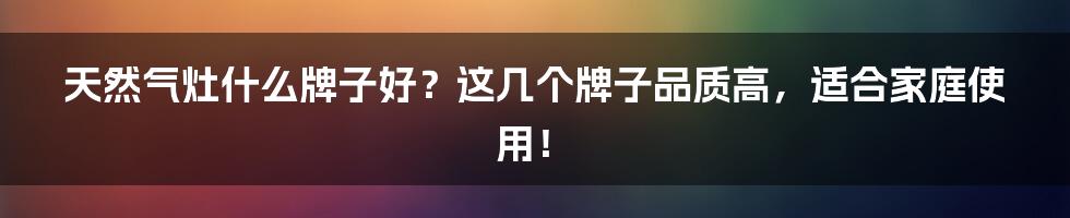 天然气灶什么牌子好？这几个牌子品质高，适合家庭使用！