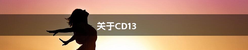 关于CD13