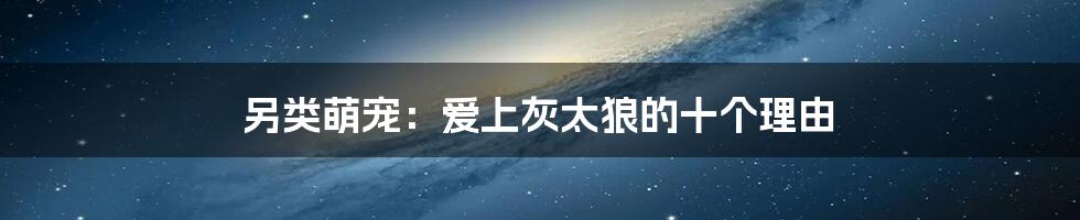 另类萌宠：爱上灰太狼的十个理由