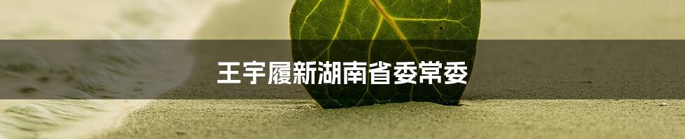 王宇履新湖南省委常委