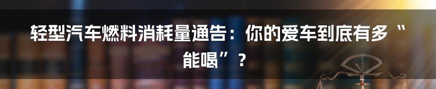 轻型汽车燃料消耗量通告：你的爱车到底有多“能喝”？