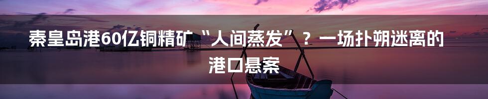 秦皇岛港60亿铜精矿“人间蒸发”？一场扑朔迷离的港口悬案