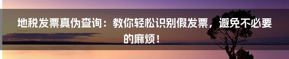 地税发票真伪查询：教你轻松识别假发票，避免不必要的麻烦！