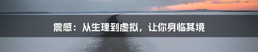 震感：从生理到虚拟，让你身临其境