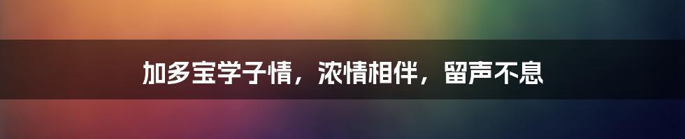 加多宝学子情，浓情相伴，留声不息