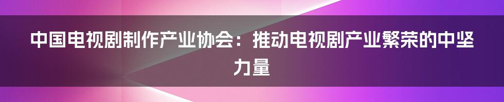 中国电视剧制作产业协会：推动电视剧产业繁荣的中坚力量