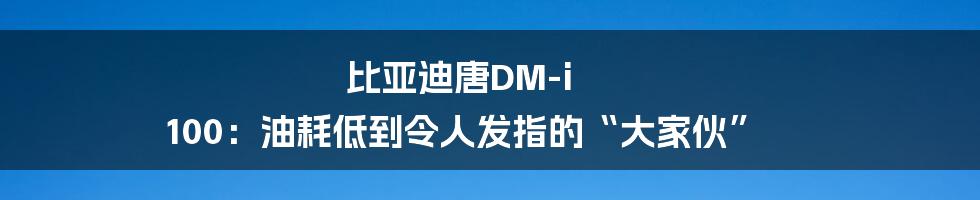 比亚迪唐DM-i 100：油耗低到令人发指的“大家伙”