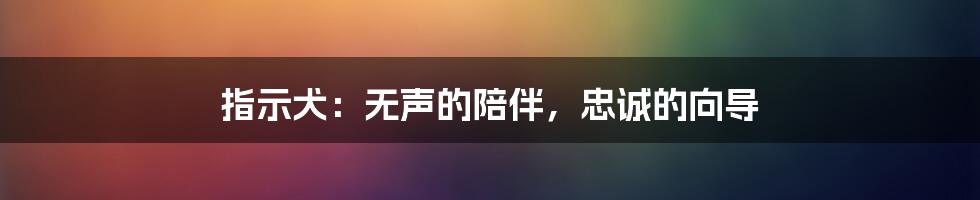 指示犬：无声的陪伴，忠诚的向导