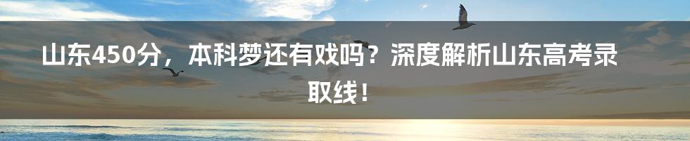 山东450分，本科梦还有戏吗？深度解析山东高考录取线！