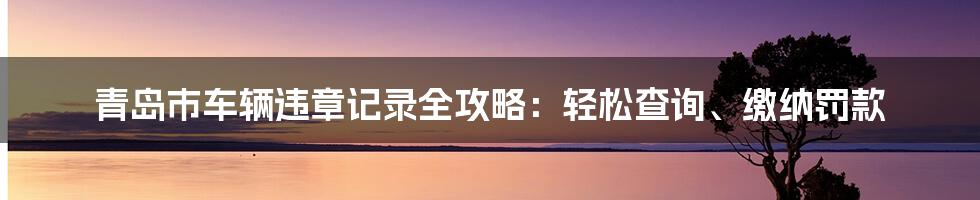 青岛市车辆违章记录全攻略：轻松查询、缴纳罚款