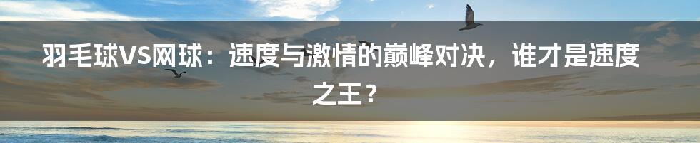 羽毛球VS网球：速度与激情的巅峰对决，谁才是速度之王？