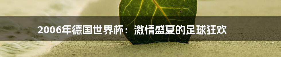 2006年德国世界杯：激情盛夏的足球狂欢