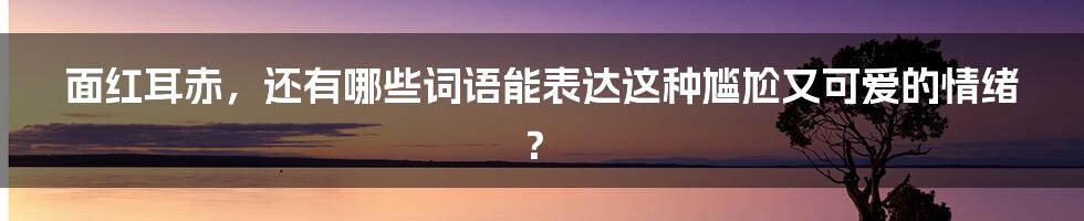 面红耳赤，还有哪些词语能表达这种尴尬又可爱的情绪？