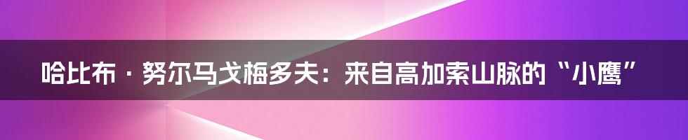 哈比布·努尔马戈梅多夫：来自高加索山脉的“小鹰”