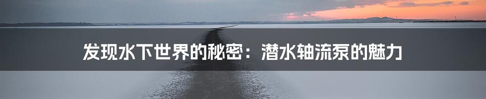 发现水下世界的秘密：潜水轴流泵的魅力