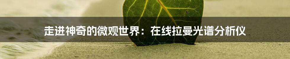 走进神奇的微观世界：在线拉曼光谱分析仪