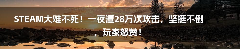 STEAM大难不死！一夜遭28万次攻击，坚挺不倒，玩家怒赞！