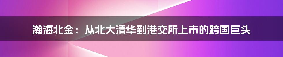 瀚海北金：从北大清华到港交所上市的跨国巨头