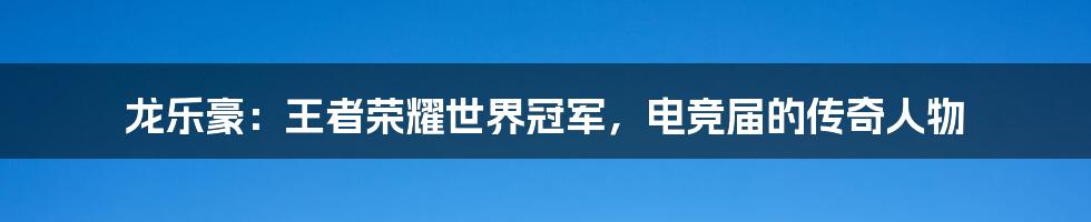 龙乐豪：王者荣耀世界冠军，电竞届的传奇人物