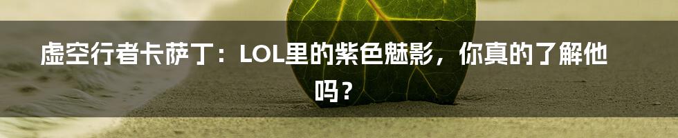 虚空行者卡萨丁：LOL里的紫色魅影，你真的了解他吗？