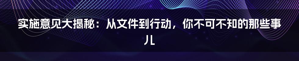 实施意见大揭秘：从文件到行动，你不可不知的那些事儿