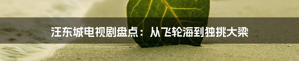 汪东城电视剧盘点：从飞轮海到独挑大梁