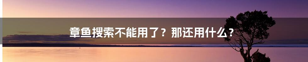 章鱼搜索不能用了？那还用什么？