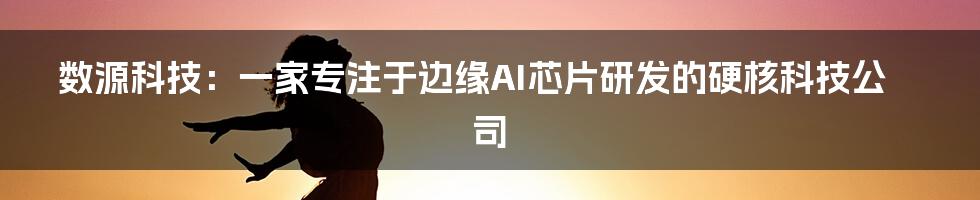 数源科技：一家专注于边缘AI芯片研发的硬核科技公司